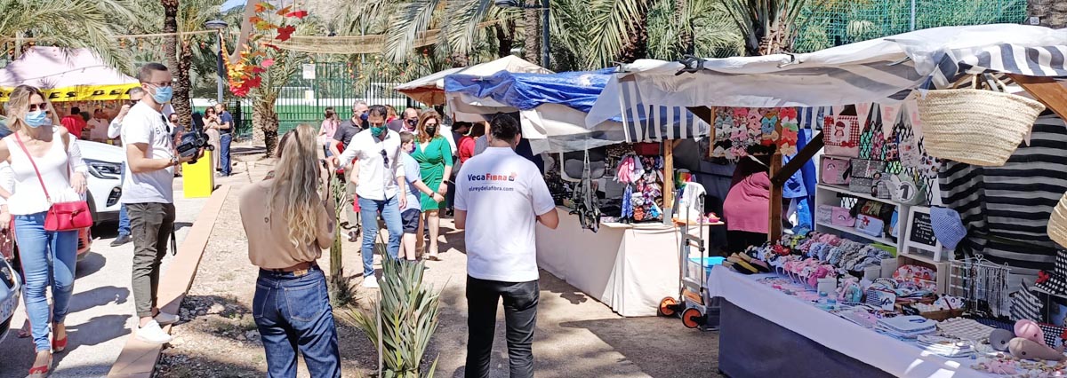 palmeral_dia mundial medio ambiente