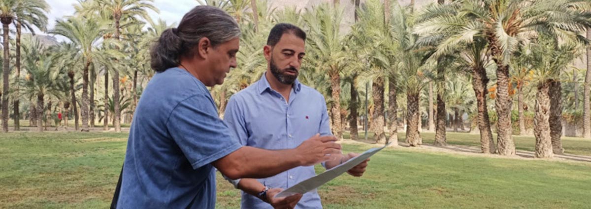 imagen noticia palmeral