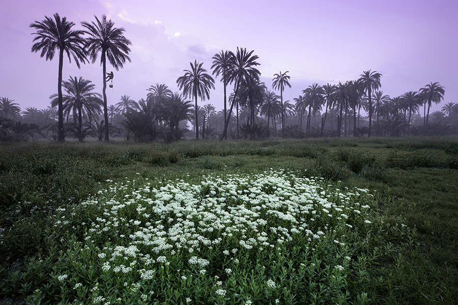 1 Abril Húmedo obra ganadora