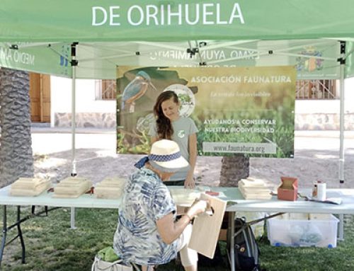 Jornadas de taller de creación de nidos FAUNATURA