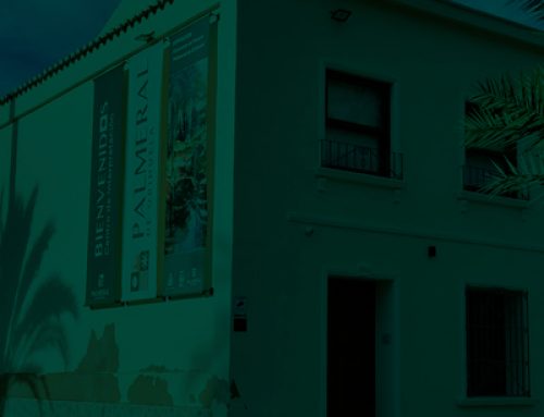 Vuelven las visitas guiadas al Palmeral de Orihuela
