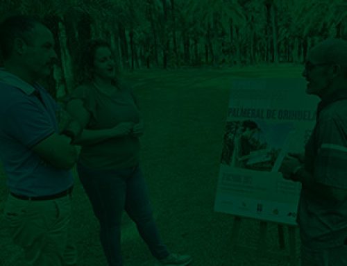 El 21 de octubre se celebrará el II Concurso Internacional de Pintura Palmeral de Orihuela