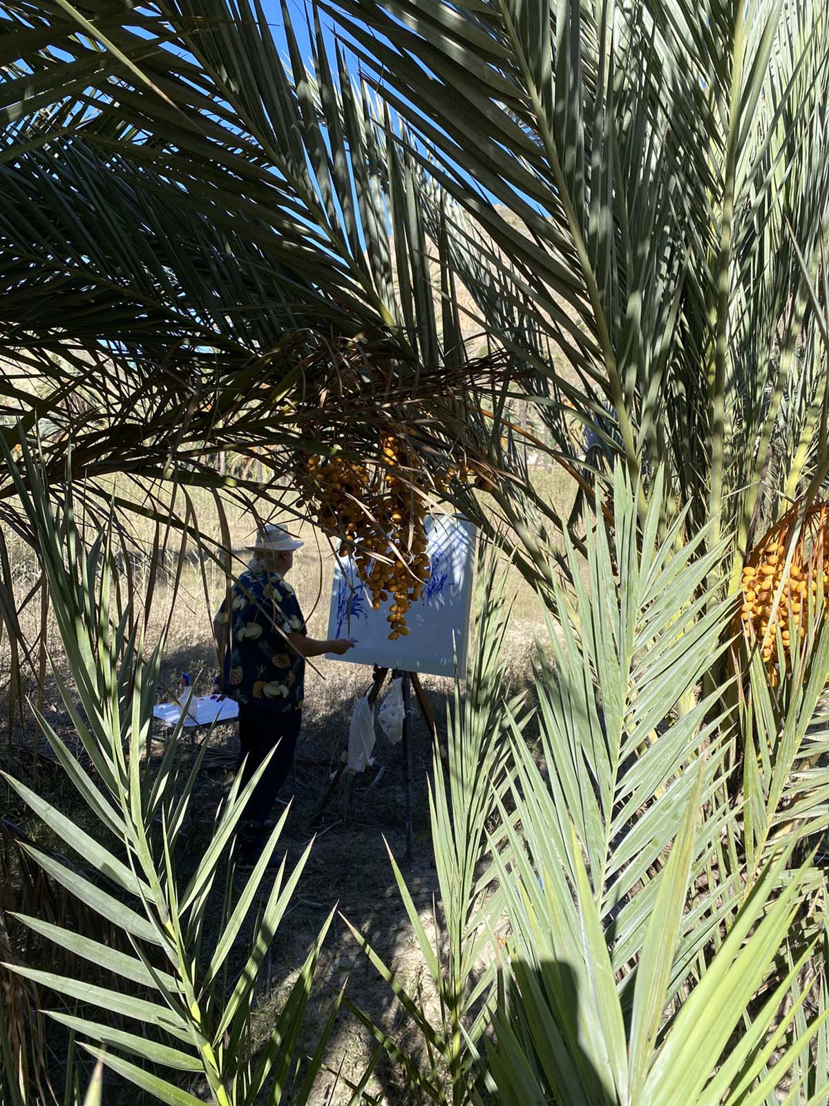 Premios_concurso_pintura_palmeral_2023_15